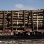 Wagons chargés de bois scolytés à Lumes (08) ; SNCF Réseau