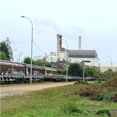 Embranchement ferroviaire particulier à Gironcourt-sur-Vraine (88) ; Photo : ORT&L / N. Boidevezi