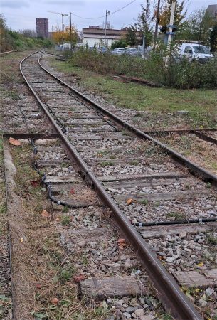 Voie ferrée dans la zone portuaire de Strasbourg ; Photo : ORT&L / N. Boidevezi